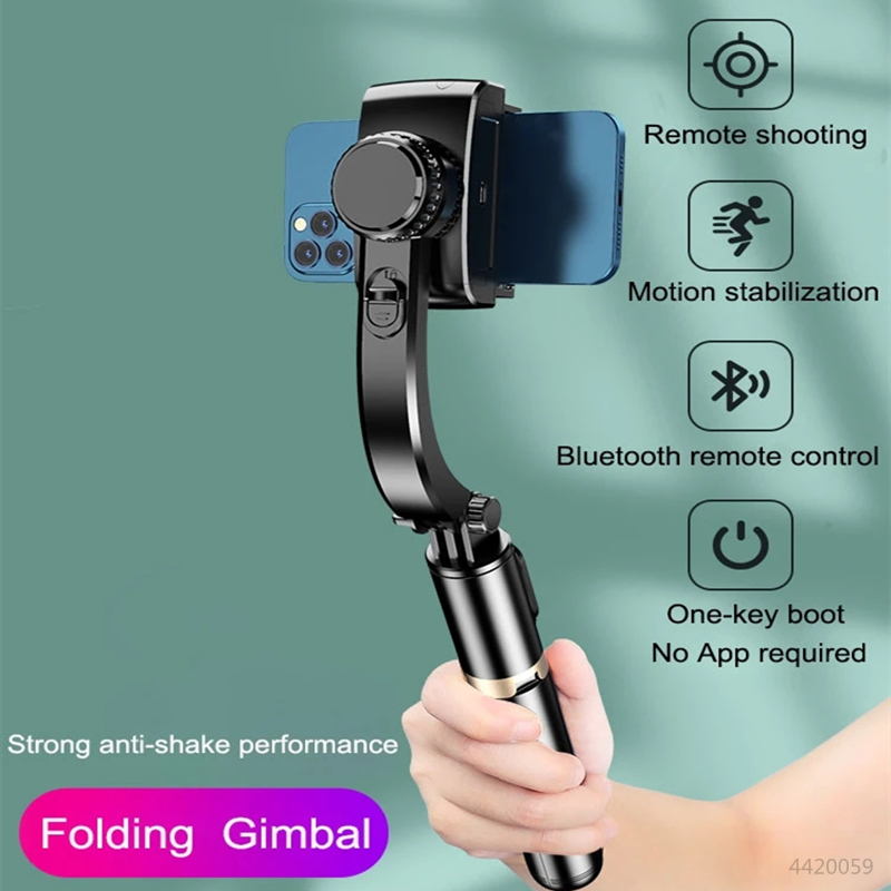 Roreta 2026 NUOVO Stabilizzato - Drone Gimbal For Gopro recensione e prezzo